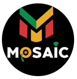 Mosaic Kitchen